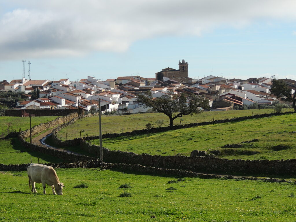 Vista general del casco urbano de Salorino